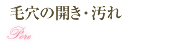 毛穴の開き・汚れ