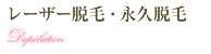 レーザー脱毛・永久脱毛